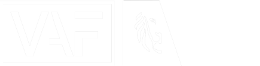 VAF - Flanders Audiovisual Fund